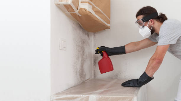 Professional Bathroom Mold Removal technician working in Peachtree Corners, GA